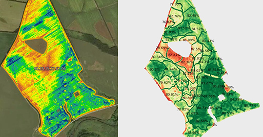 Artificial intelligence and machine learning for precise and sustainable agriculture